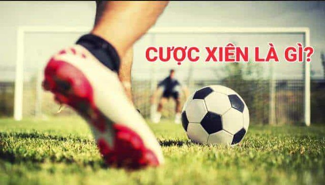 cuoc xien 67acc77eb8ff4