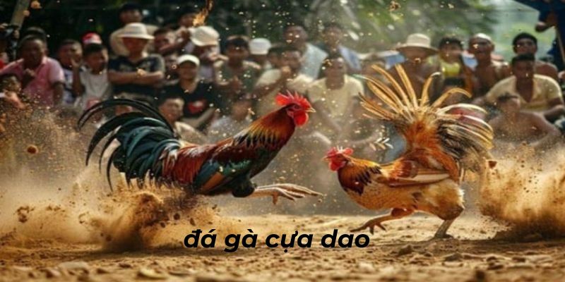 Đá Gà Cựa Dao - Sân Chơi Giải Trí Chất Lượng Hàng đầu 33WIN