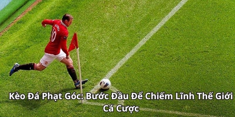 Kèo Đá Phạt Góc: Bước Đầu Để Chiếm Lĩnh Thế Giới Cá Cược